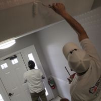  local mount prospect painter